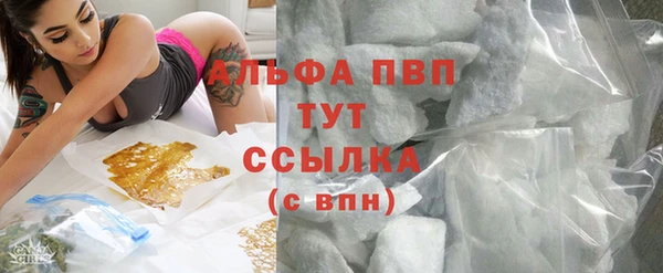стаф Нефтегорск