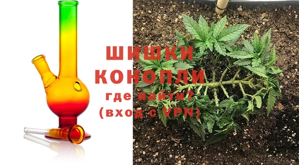 стаф Нефтегорск