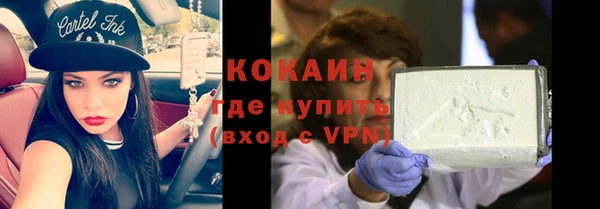 стаф Нефтегорск