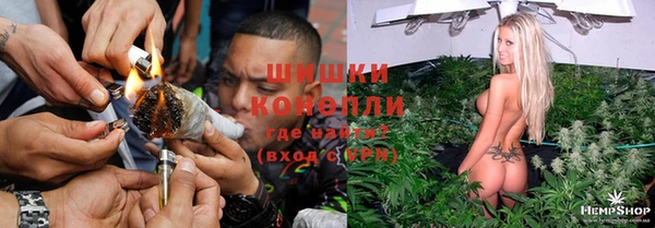 стаф Нефтегорск