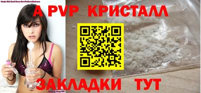 стаф Кандалакша