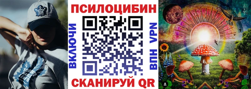 наркотики  мега вход  Галлюциногенные грибы Magic Shrooms  Кировск 