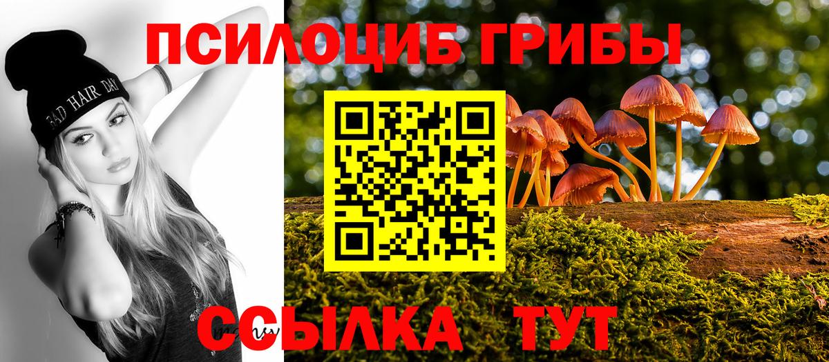 Псилоцибиновые грибы мицелий  наркота  Кировск 